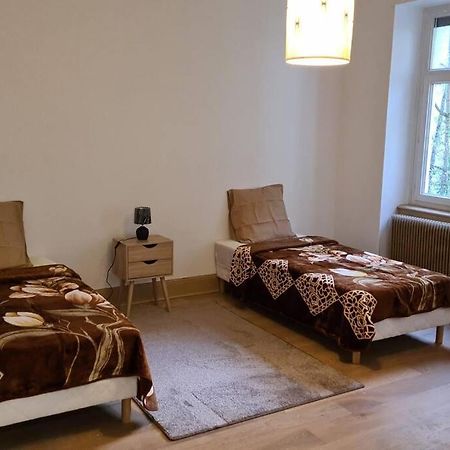 Grand 4P Strasbourg Orangerie 7 Personnes Proche D Allemagne Eksteriør billede