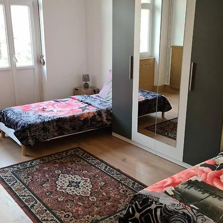 Grand 4P Strasbourg Orangerie 7 Personnes Proche D Allemagne Eksteriør billede
