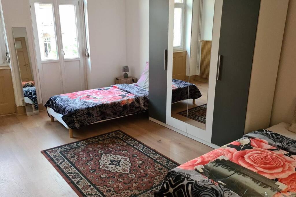 Grand 4P Strasbourg Orangerie 7 Personnes Proche D Allemagne Eksteriør billede