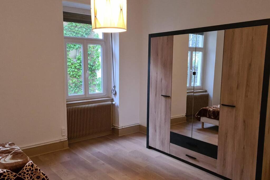 Grand 4P Strasbourg Orangerie 7 Personnes Proche D Allemagne Eksteriør billede
